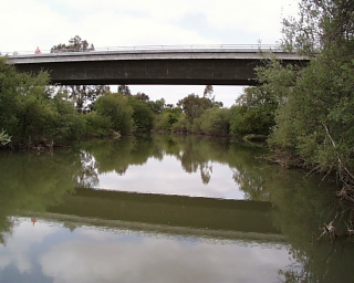 Download-1 Download-1