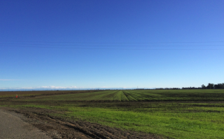 West from Rd 30B - Sac skyline West from Rd 30B - Sac skyline
