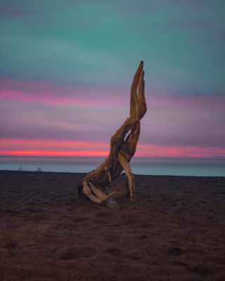 26154496_529324794111659_6988018146867150848_n(1) 26154496_529324794111659_6988018146867150848_n(1)