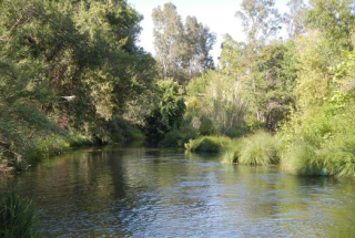 Putah-creek-friends2