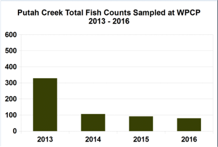 Screen Shot 2018-08-05 at 11.11.36 PM