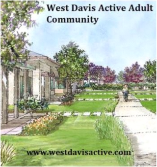 Screen Shot 2019-02-13 at 11.10.37 PM