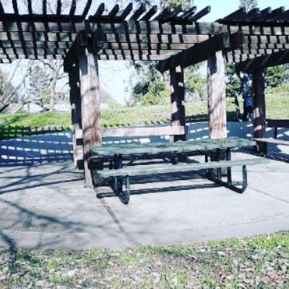 79141593_573452286554188_8656786741631381763_n