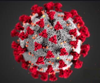 Covid19