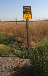 IMG_4039-burrowingowlsign-cropped