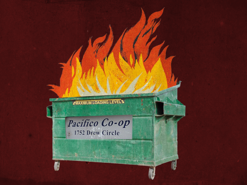 Dumpster fire Dumpster fire