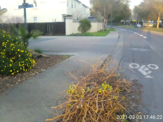 IMG_20210303_174621(1)