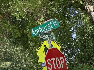 Amherst crop