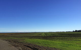 West from Rd 30B - Sac skyline