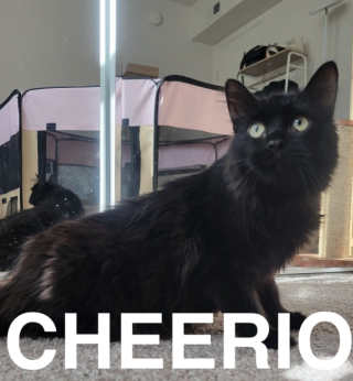 567F8BF6-868B-4207-86C2-5DCC0ECE3AB5