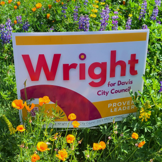 Wright-lawn-flowers-crop