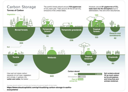 Carbon-storage