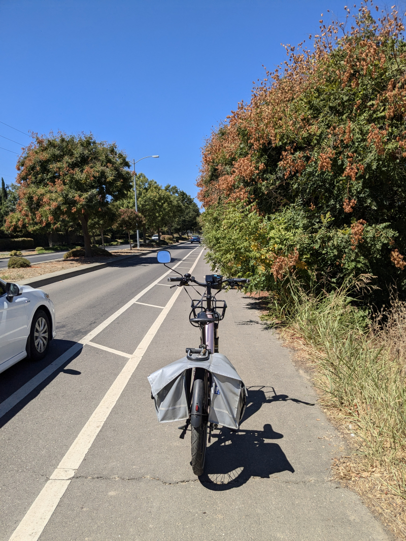 PXL_20240815_190057157.RAW-01.COVER