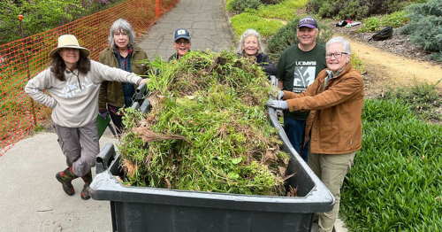 Volunteers next to large weed bin Volunteers next to large weed bin