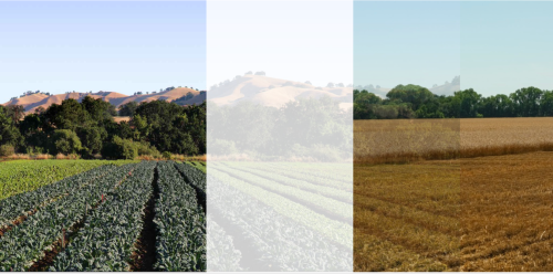 Check the box Check the box