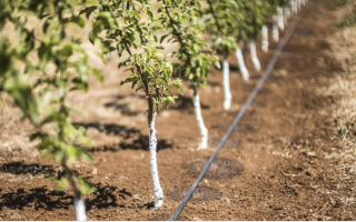 Groundwaterissue Groundwaterissue