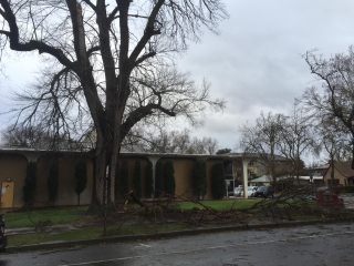 Failure storm davis 2021 02 (8)